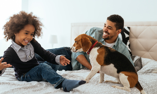 Family playing with their dog 