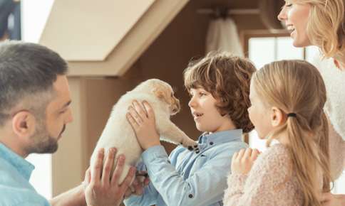 Happy family with their new puppy