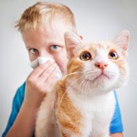 Managing Pet Allergies in Kids